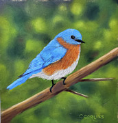 The Bluebirds Have Arrived #1 Pastel by Carol Corliss