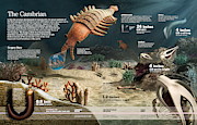 The Cambrian #1 Digital Art by Album
