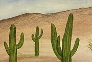 Three Saguaro  #1 Painting by Lisa Neuman