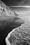 Torrey Pines Shoreline #2 Photograph by William Dunigan