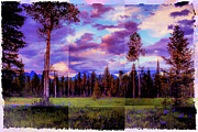 Twilight Forest in Montana Majestic Beautiful  Skies Photograph by Skip Nall