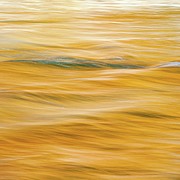Watercolour Fluid Impressions #2 Photograph by Shankar Adiseshan