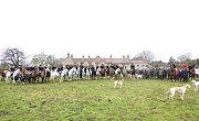 Welburn Meet #1 Photograph by Mark Egerton