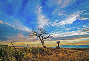 Welcome Tree - Taos, New Mexico Photograph by Robert Niemeier Welcome Tree - Taos, New Mexico Photograph by Robert Niemeier