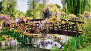 Wisteria Covered Bow Bridge #1 Photograph by Raymond Hill
