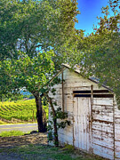 100 Year Old Chicken House Photograph by Leslie Brashear