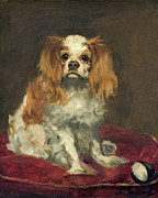 A King Charles Spaniel #11 Painting by Edouard Manet