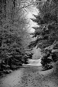 Winter wonderland #117 Photograph by Robert Grac Winter wonderland #117 Photograph by Robert Grac
