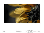17 Digital Art by Jerald Blackstock