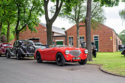 1955 Austin Healey Photograph by Tim Gainey