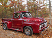 1956 Ford F100 in the Woods Photograph by Kristia Adams
