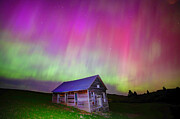 Aurora_1 #2 Photograph by Mark Jackson