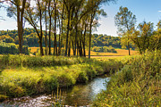Autumn Spring Creek #2 Photograph by Mark Mille Autumn Spring Creek #2 Photograph by Mark Mille