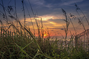 Beach Sunrise #2 Photograph by Darrell Foster Beach Sunrise #2 Photograph by Darrell Foster