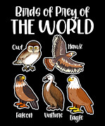 Birds of Prey Of The World #2 Digital Art by Toms Tee Store