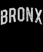 Bronx #2 Digital Art by Flippin Sweet Gear