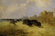 Caddo Indians Chasing Buffalo, Cross Timbers, Texas #2 Painting by George Catlin