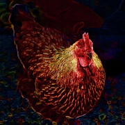 Chicken #2 Digital Art by Bruce Block