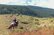 CowBoy #2 Photograph by Brook Burling