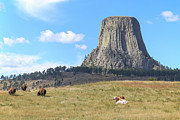 Devils Tower #2 Photograph by Brook Burling