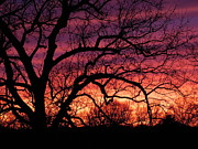Evening Comes... #2 Photograph by Virginia White