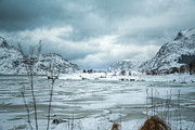 Houses Near a Snowy Fjord Photograph by Joanne Eastope