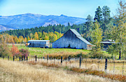 Horse and old barn in pasture along the Teanaway  #2 Photograph by Steve Estvanik