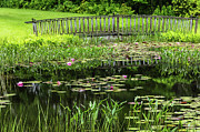 Lily Pond Bridge #2 Photograph by Susan Cole Kelly
