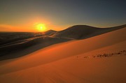 Mongolian Gobi #2 Photograph by Bat-Erdene Baasansuren