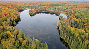 Mud Lake #2 Photograph by Brook Burling