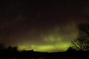 Northern Lights #2 Photograph by Brook Burling