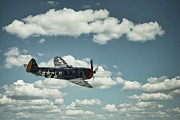 P47 Thunderbolt, World War 2 Fighter Aircraft #2 Photograph by Rick Deacon