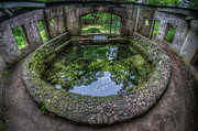 Paradise Springs #2 Photograph by Brad Bellisle