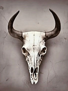 Skull cattle horns vintage art old 1900 century hand painted illustration, skull #2 Drawing by Mounir Khalfouf