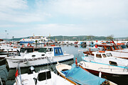 Small fishing boats docked in the marina at Cannakale in Turkiye #2 Photograph by Stuart Chard