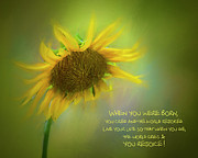 Sunflower #2 Photograph by Cathy Kovarik Sunflower #2 Photograph by Cathy Kovarik