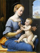 The Madonna of the Pinks #3 Painting by Raphael