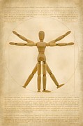 Vitruvian Manikin #2 Photograph by Alessandro Pezzo
