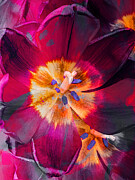 2025 Digital Floral Digital Art by Laura Leatherwood