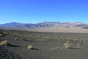 Death Valley National Park #26 Photograph by Jonathan Babon