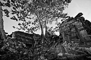 Angkor wat, cambodia #13 Photograph by Lie Yim Angkor wat, cambodia #13 Photograph by Lie Yim