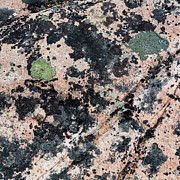 Atlantic Coast Abstract #3 Photograph by Shankar Adiseshan