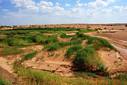 Colors of Gobi desert #3 Photograph by Elbegzaya Lkhagvasuren Colors of Gobi desert #3 Photograph by Elbegzaya Lkhagvasuren
