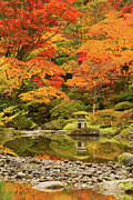 Fall colors at Seattle Japanese Garden #3 Digital Art by Michael Lee