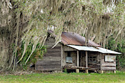 Florida Cracker House, Shiloh, Florida #3 Photograph by Dawna Moore Photography