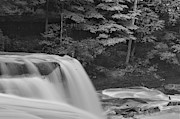 Great Falls #3 Photograph by Brad Nellis