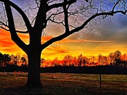 Sunset #3 Photograph by Stephen Dorton