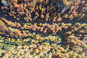 Windy road through the trees. Upper Danube Nature Park, Beuron, Baden-Württemberg, Germany. #3 Photograph by Francesco Vaninetti Photo