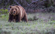 399 Stands Alone Photograph by Rudy Viereckl