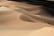 Gobi desert #4 Photograph by Elbegzaya Lkhagvasuren Gobi desert #4 Photograph by Elbegzaya Lkhagvasuren